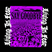 Say Goodbye