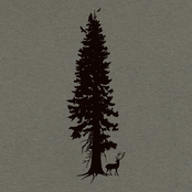 Keeper Of The Woods by Cedar Spirits