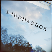 Ljuddagbok (dec 2008 - jan 2009)