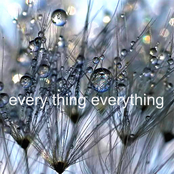 every thing everything