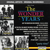 Music from the Wonder Years, Vol. 4