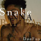 SNAKE INNA RATTRAP