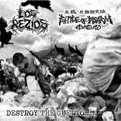 Battle of Disarm/Los Rezios Split-7"EP