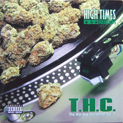 THC (The Hip-Hop Collection) Vol.1