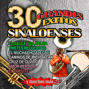 30 Grandes Exitos Sinaloenses
