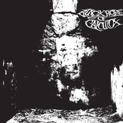 Discography 2007-2010