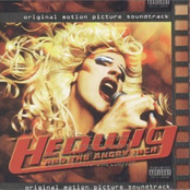 Hedwig and the Angry Inch