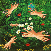 Zookeeper Submarine / Bug Debris