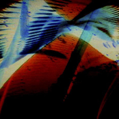 Four Chambered Heart