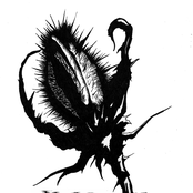 HATE FACE 2015 DEMO