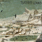 Birnam Wood
