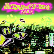 m e t a m o r f o s i s (remix)