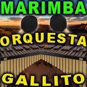 12 Exitos Marimberos