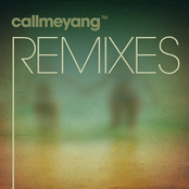 Remixes