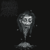 Demonstration Of Lunatic Rituals