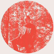 Owen Pallett: Heartland