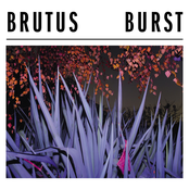 Brutus: Burst