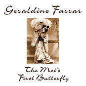 The Met's First Butterfly