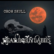 Crow Skull