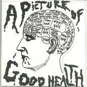 A Picture of Good Health