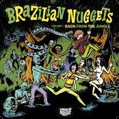 Brazilian Nuggets - Back From The Jungle Volume 1