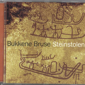 Numedalshalling by Bukkene Bruse