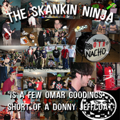 the skankin' ninja