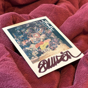 chichoteopalasbabys.com