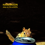 Easy on the Wildlife