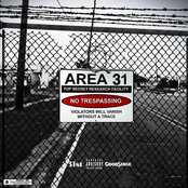 Area 31