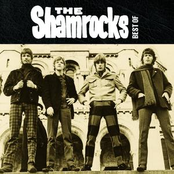 The Shamrocks: Best of