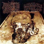 Rancid Flesh / Pankreatite Necro Hemorragica