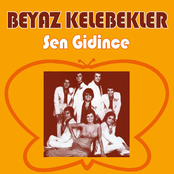 Sen Gidince