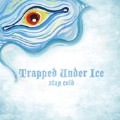 Trapped Under Ice - Half a Person