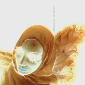 Angelic Science