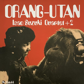 Orang-Utan