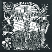 A Garden Without Birds