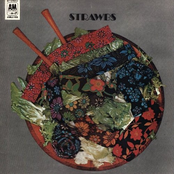 All The Little Ladies by Strawbs