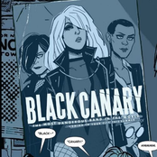 the black canary