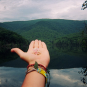 These hands are leaves