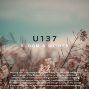 Bloom & Wither