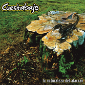 la naturaleza del alacrán