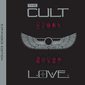 The Cult: Love (Expanded Edition)
