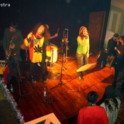 Rasta Orchestra