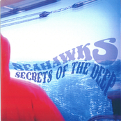 Deep Secrets by Seahawks