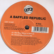 a baffled republic