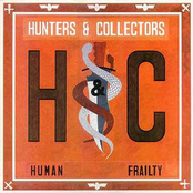 Everything's On Fire by Hunters & Collectors