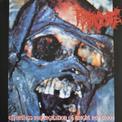 Phrenetic Chainsaw Slaughter Of A Crippled Infant by Regurgitate