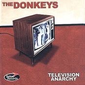 What I Want by The Donkeys