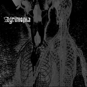 Leaves Fall Rotten by Agrimonia